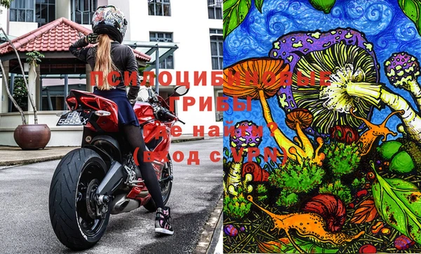 амфетамин Каменногорск