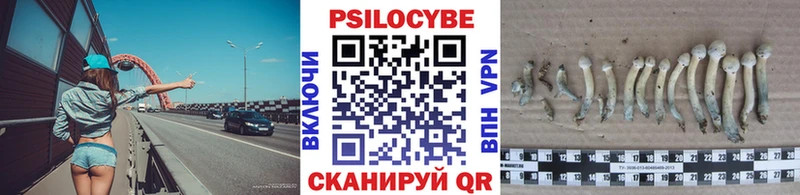 Галлюциногенные грибы Magic Shrooms  Купить где  Раменское 
